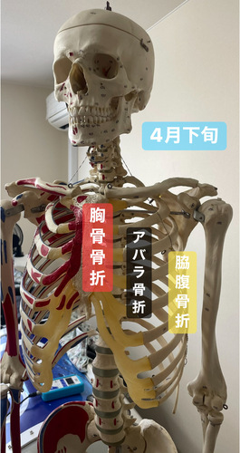 3CC4269C-1196-467C-917C-E8E9C3177016.jpeg