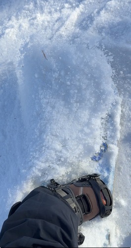 来期サマーゲレンデ用バルシップボード: KAGAYAKING（輝き王